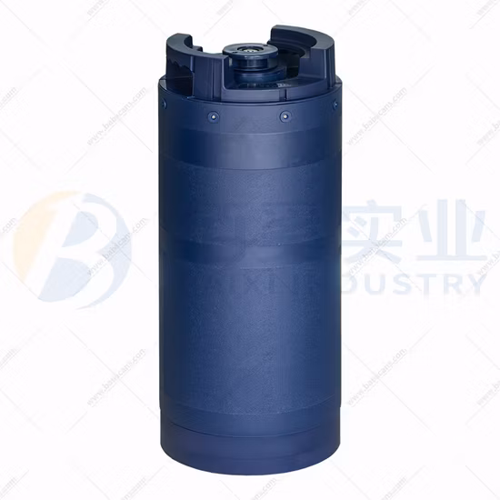 Fusti di birra in plastica HDPE da 5 l 15 l 18 l 20 l 30 l con lancia in plastica/sacchetti interni